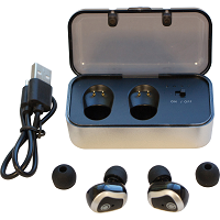 Earbuds