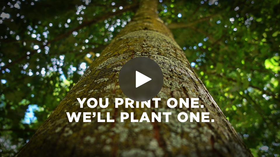 print one plant one