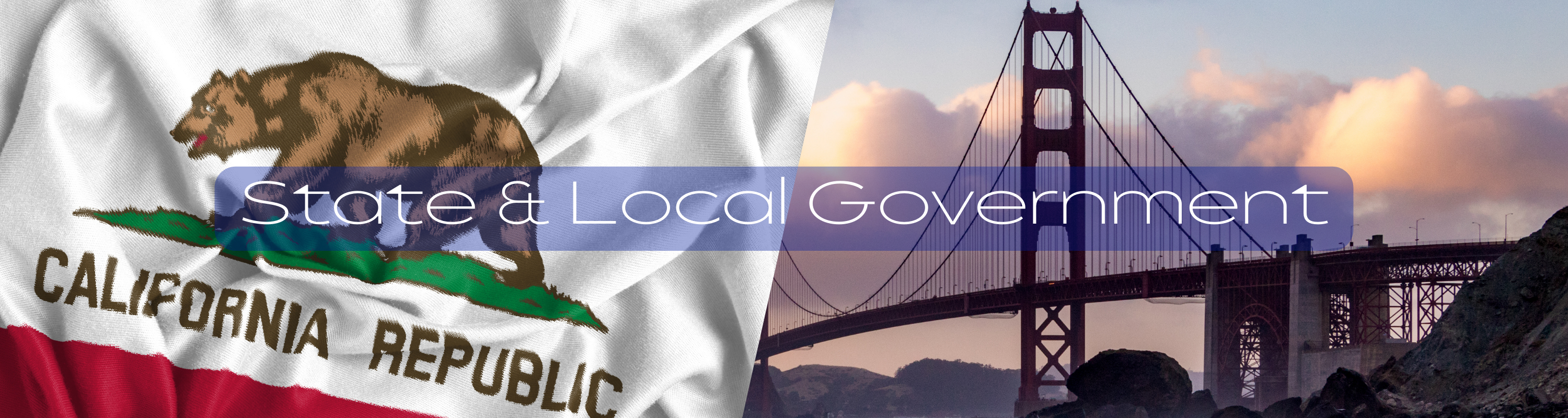 State & Local Government Banner