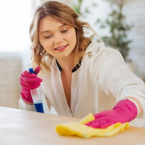 Cleaning & Disinfection Info Page - Lady-Wiping-Down-Counter